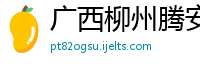 广西柳州腾安房地产开发有限公司